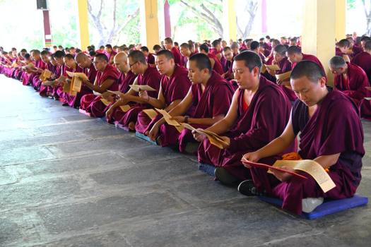 Gyalwae shabrim 12May2025